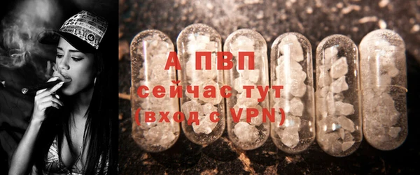 прущие крисы Алексеевка