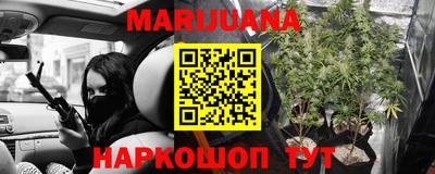 гидропоника Тара