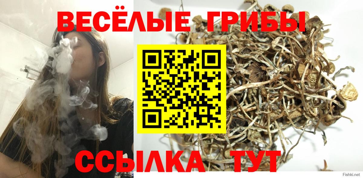 Псилоцибиновые грибы Psilocybe  Вход с VPN  Галлюциногенные грибы прущие грибы  Курганинск 